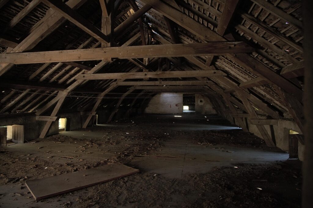 Exposed wooden roof timbers in an empty attic