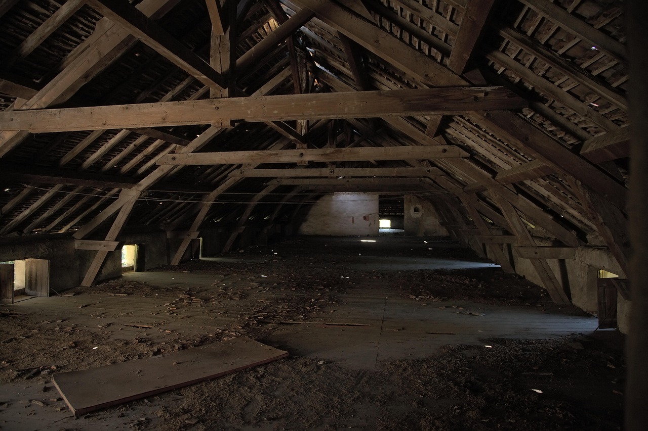 Exposed wooden roof timbers in an empty attic